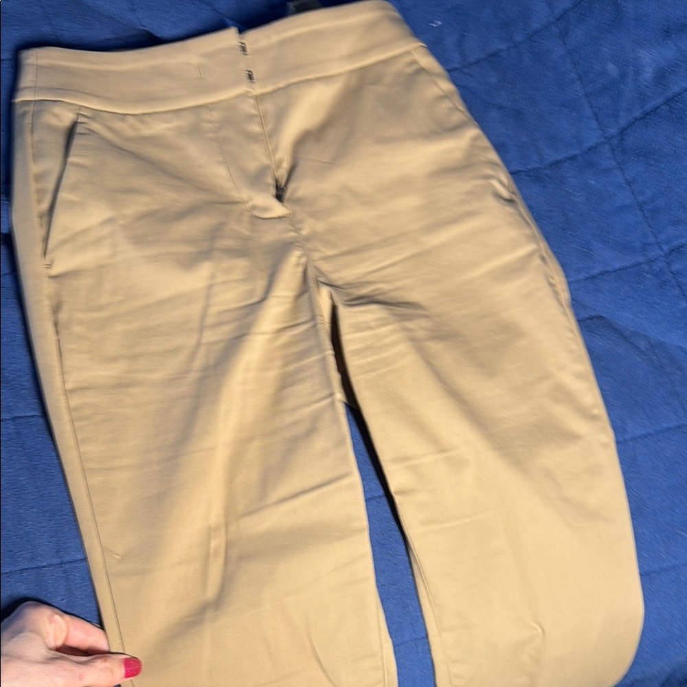 Tan Cropped Pants